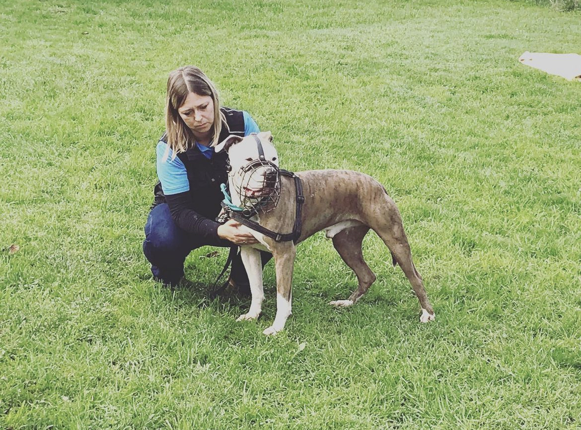 Maulkorbberatung mit individueller Anpassung