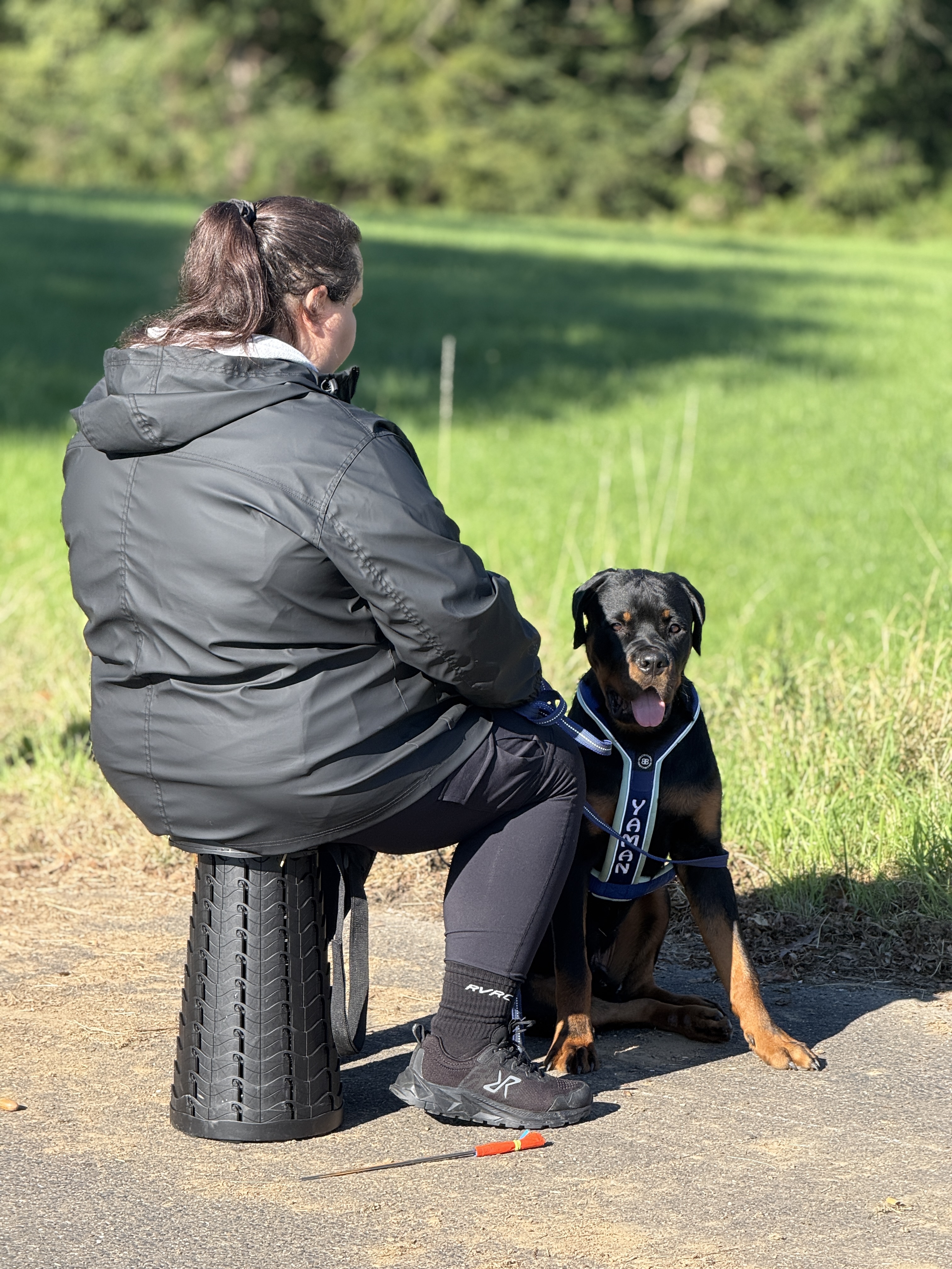 Einzelsitzung Verhaltensberatung mit Hund und Besitzerin